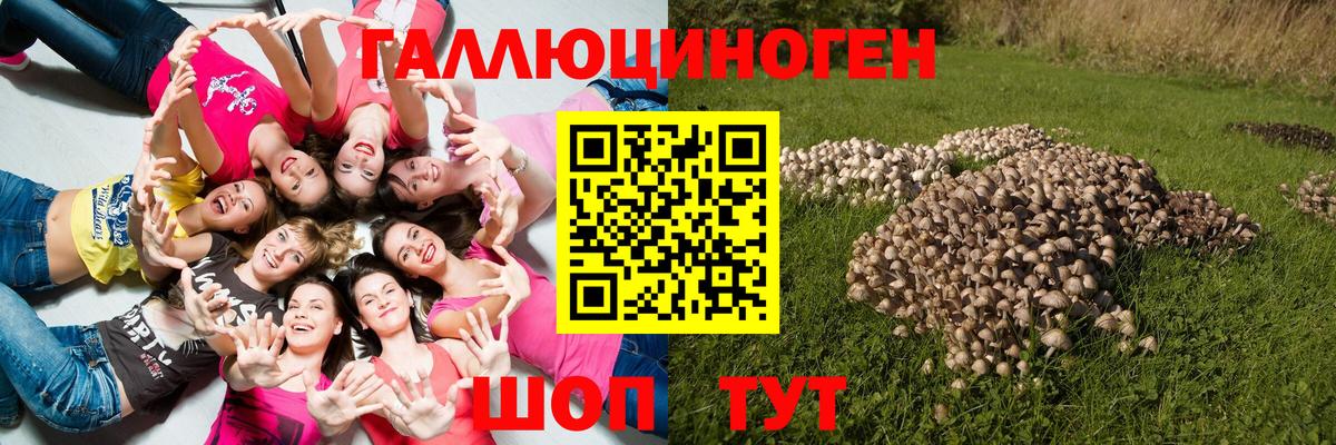 Псилоцибиновые грибы мухоморы  Аксай  где продают   Псилоцибиновые грибы мицелий 