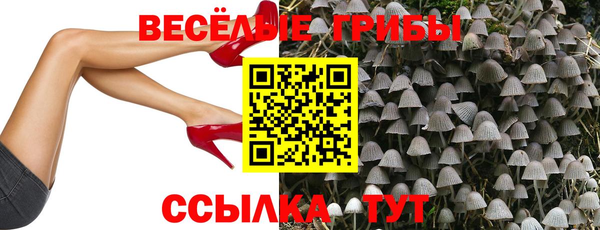 Псилоцибиновые грибы GOLDEN TEACHER Аксай